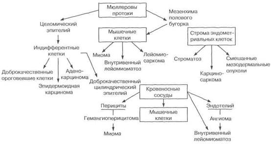 синдром поликистозных яичников 6 страница - student2.ru