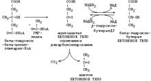 Синтез кетоновых тел (кетогенез) - student2.ru