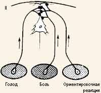 Системная структура поведения - student2.ru