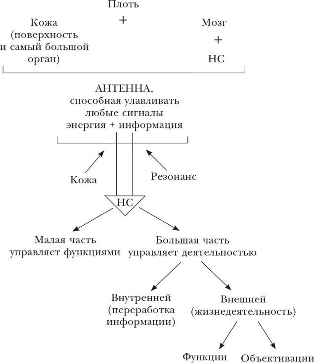 Социолизация – адаптация к жизни - student2.ru