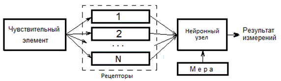 состав и структура биологических измерителей - student2.ru