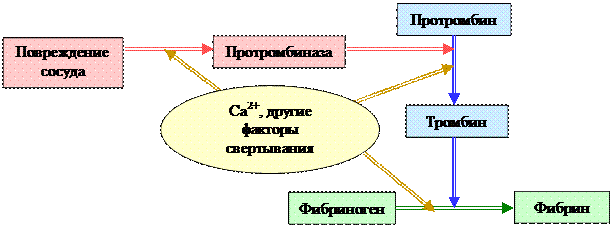 Свертывающая системы крови - student2.ru