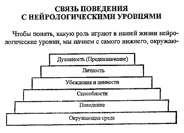 связь поведения с нейрологическими уровнями - student2.ru