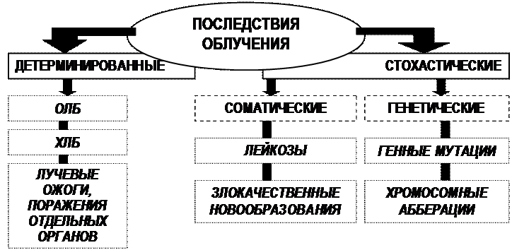 Тема 2: БИОЛОГИЧЕСКОЕ ДЕЙСТВИЕ ИОНИЗИРУЮЩИХ ИЗЛУЧЕНИЙ - student2.ru