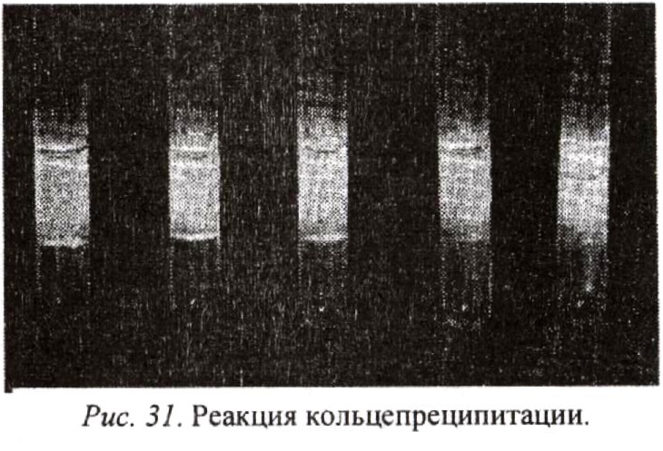 Тема 7. ПОЛЕЗНЫЕ МИКРООРГАНИЗМЫ - student2.ru