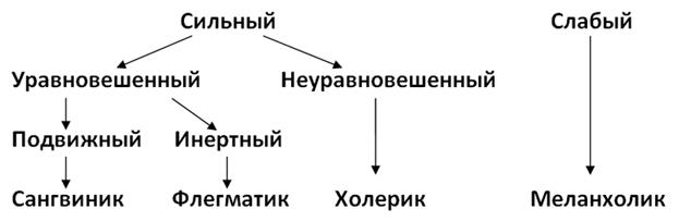 Учение И.П.Павлова о типах высшей нервной деятельности, их классификация и характеристика - student2.ru