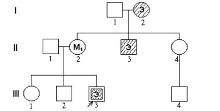 Условные генеалогические обозначения признаков - student2.ru