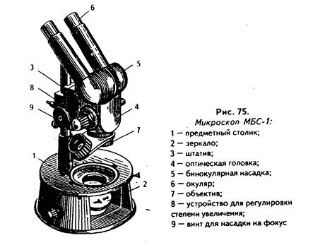 устройство различных видов микроскопов - student2.ru