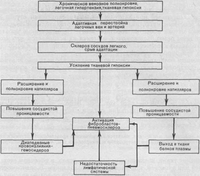 Венозное полнокровие - student2.ru