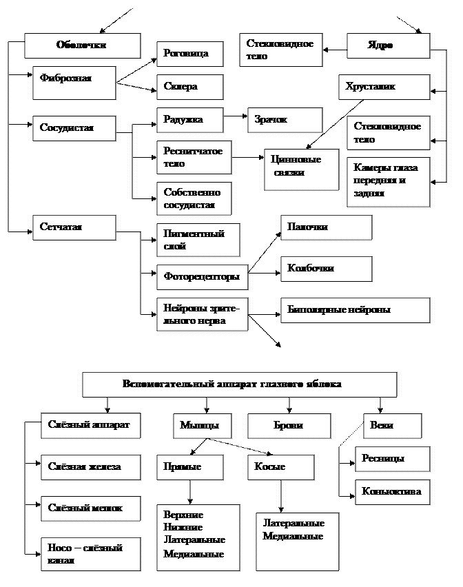 вопрос 40 - student2.ru