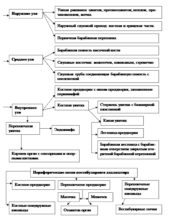 вопрос 40 - student2.ru