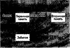 Возбужде и вниманш в контека деятельнс - student2.ru