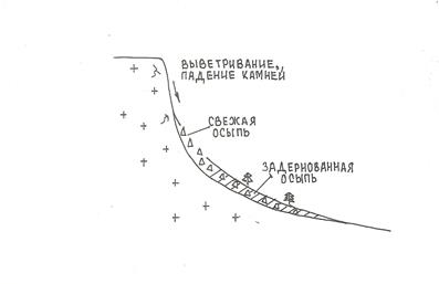 Выветривание как инженерно-геологический процесс - student2.ru