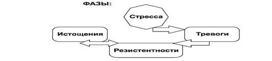 эволюция и формы адаптации - student2.ru