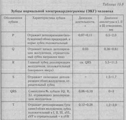 Зубцы и интервалы электрокардиограммы (ЭКГ) - student2.ru