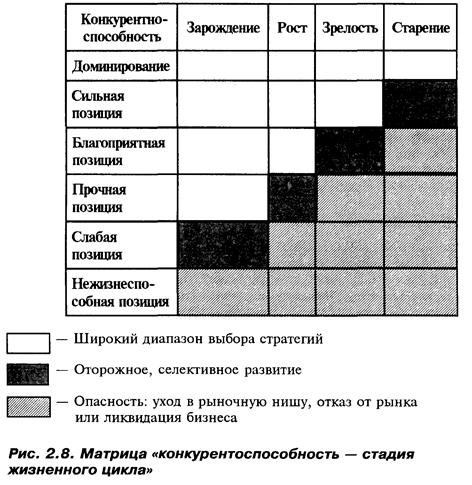 Анализ хозяйственного и продуктового портфелей - student2.ru