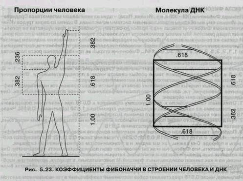 И однако же почему имя великого Фибоначчи неразрывно связано с техническим анализом рынков? - student2.ru