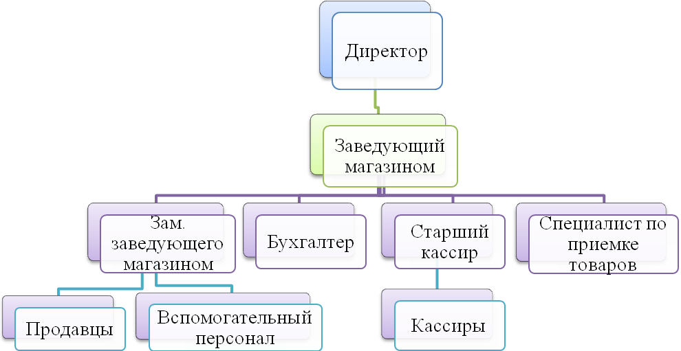 Организация труда и управления в магазине №44 ОАО «Арма» - student2.ru