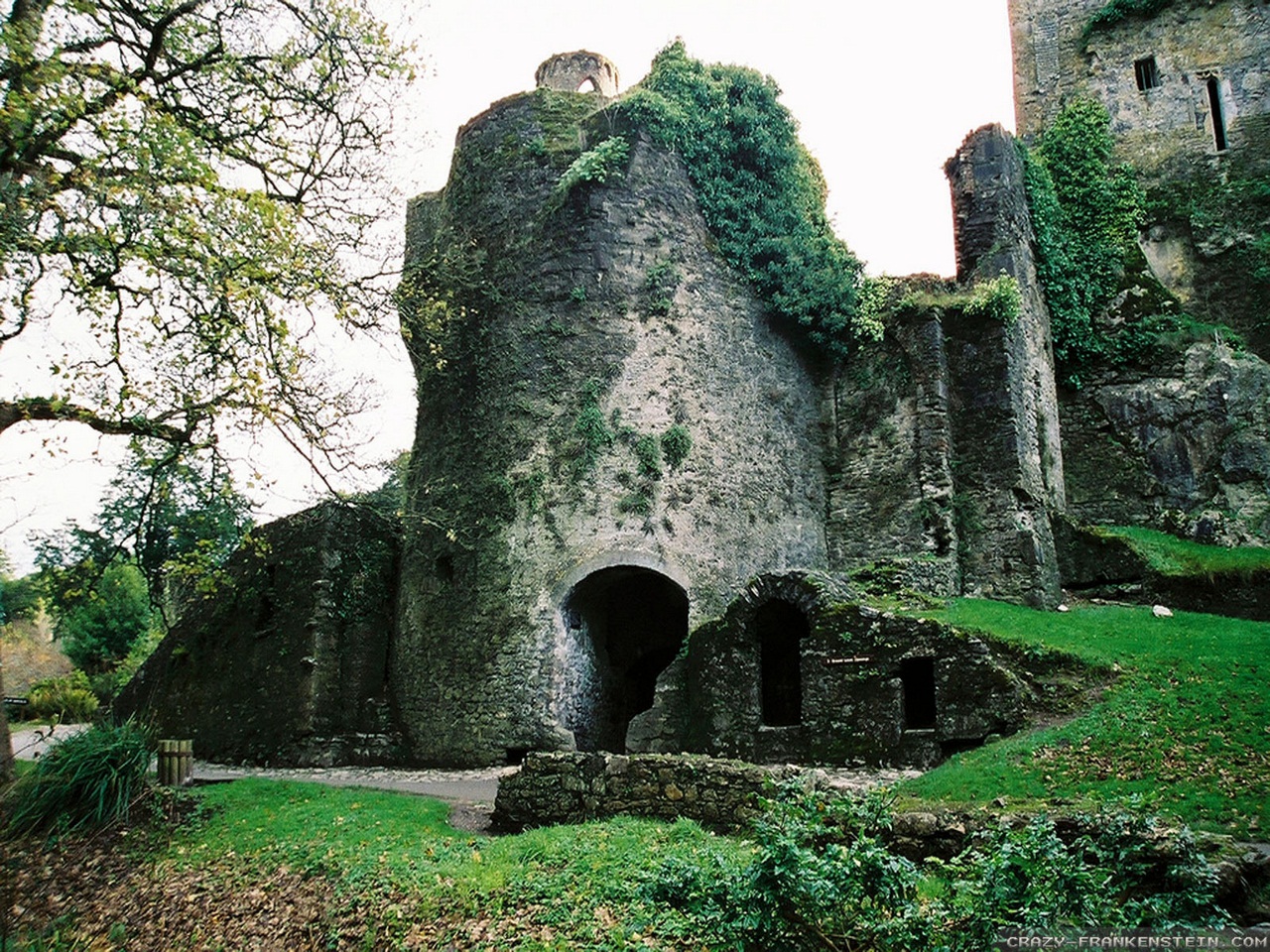 Замок Бларни (Blarney Castle) и камень красноречия - student2.ru