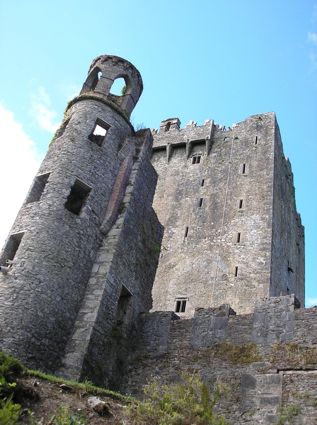 Замок Бларни (Blarney Castle) и камень красноречия - student2.ru