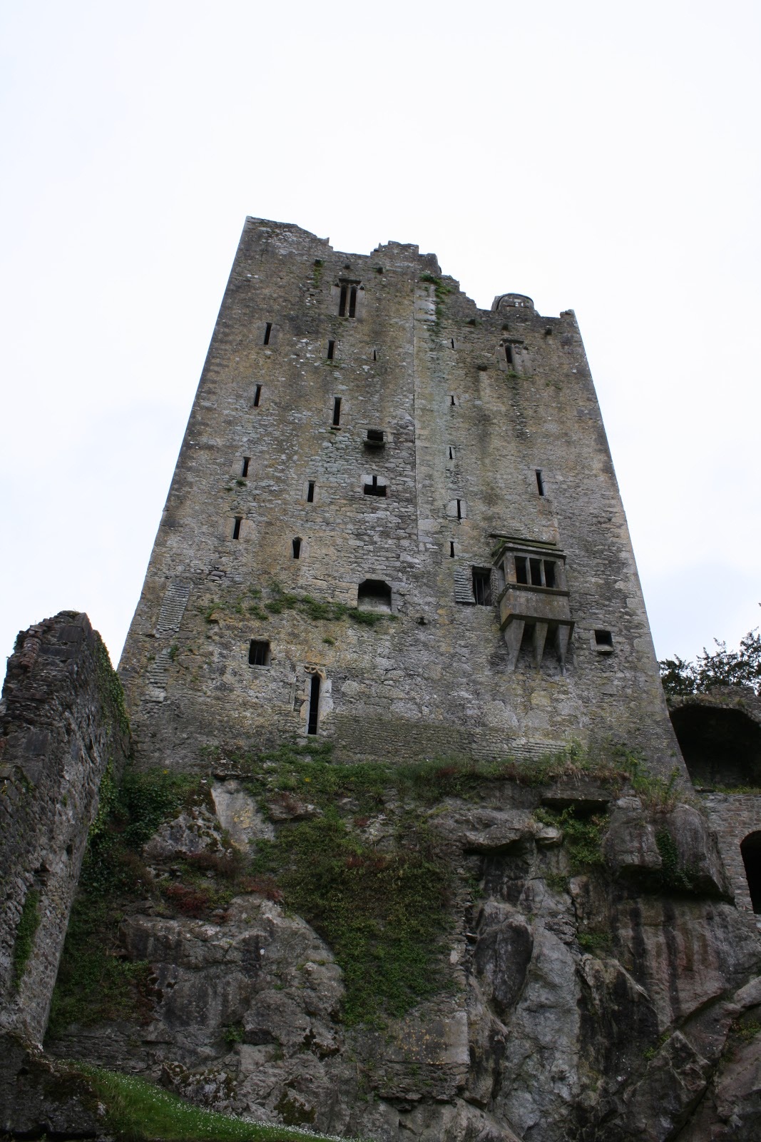 Замок Бларни (Blarney Castle) и камень красноречия - student2.ru