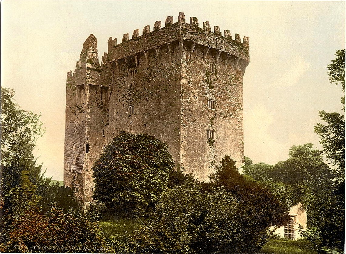 Замок Бларни (Blarney Castle) и камень красноречия - student2.ru