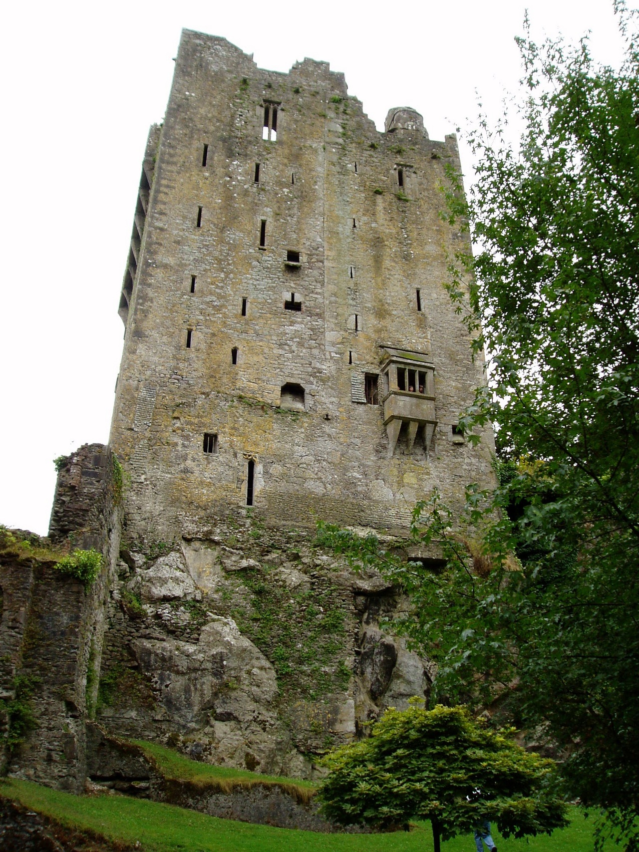 Замок Бларни (Blarney Castle) и камень красноречия - student2.ru