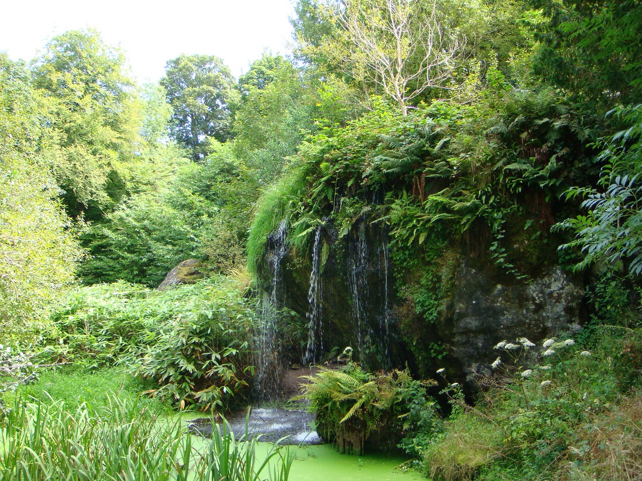 Замок Бларни (Blarney Castle) и камень красноречия - student2.ru