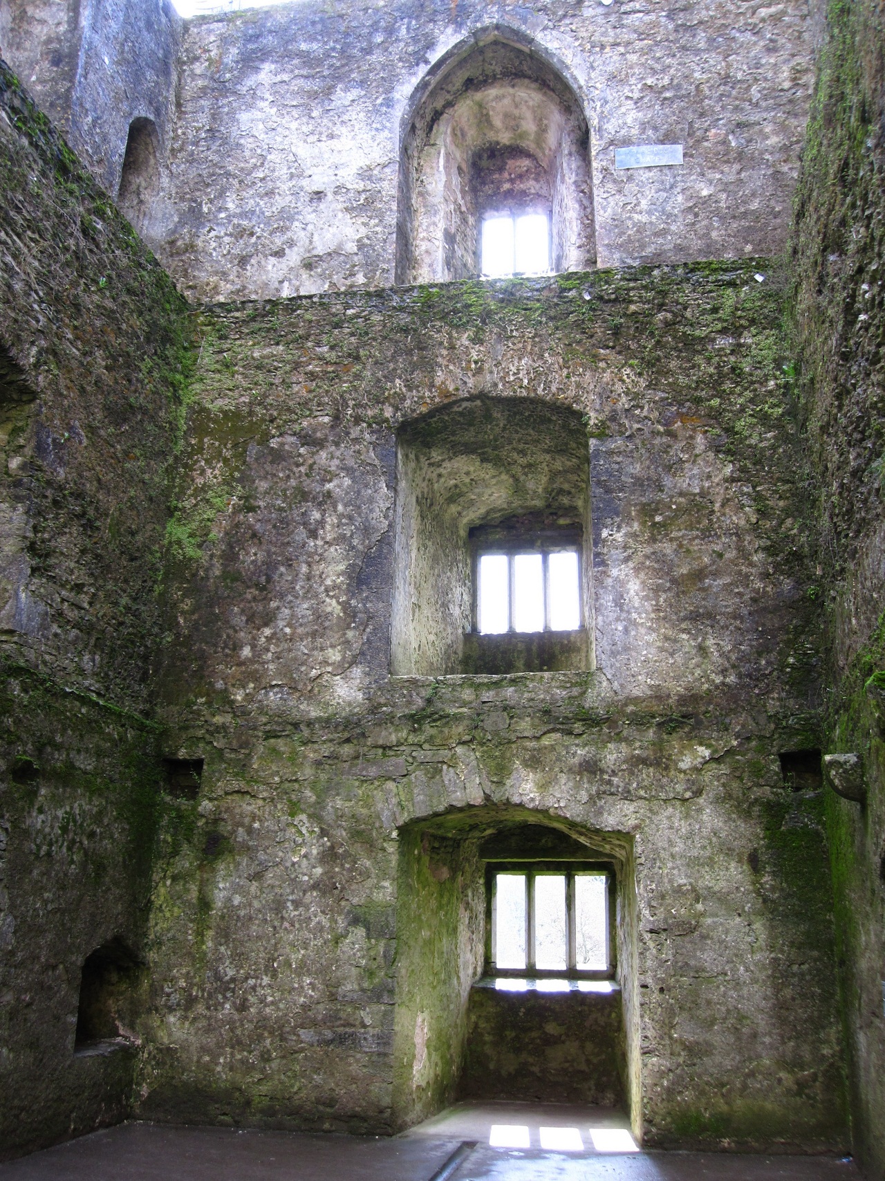 Замок Бларни (Blarney Castle) и камень красноречия - student2.ru