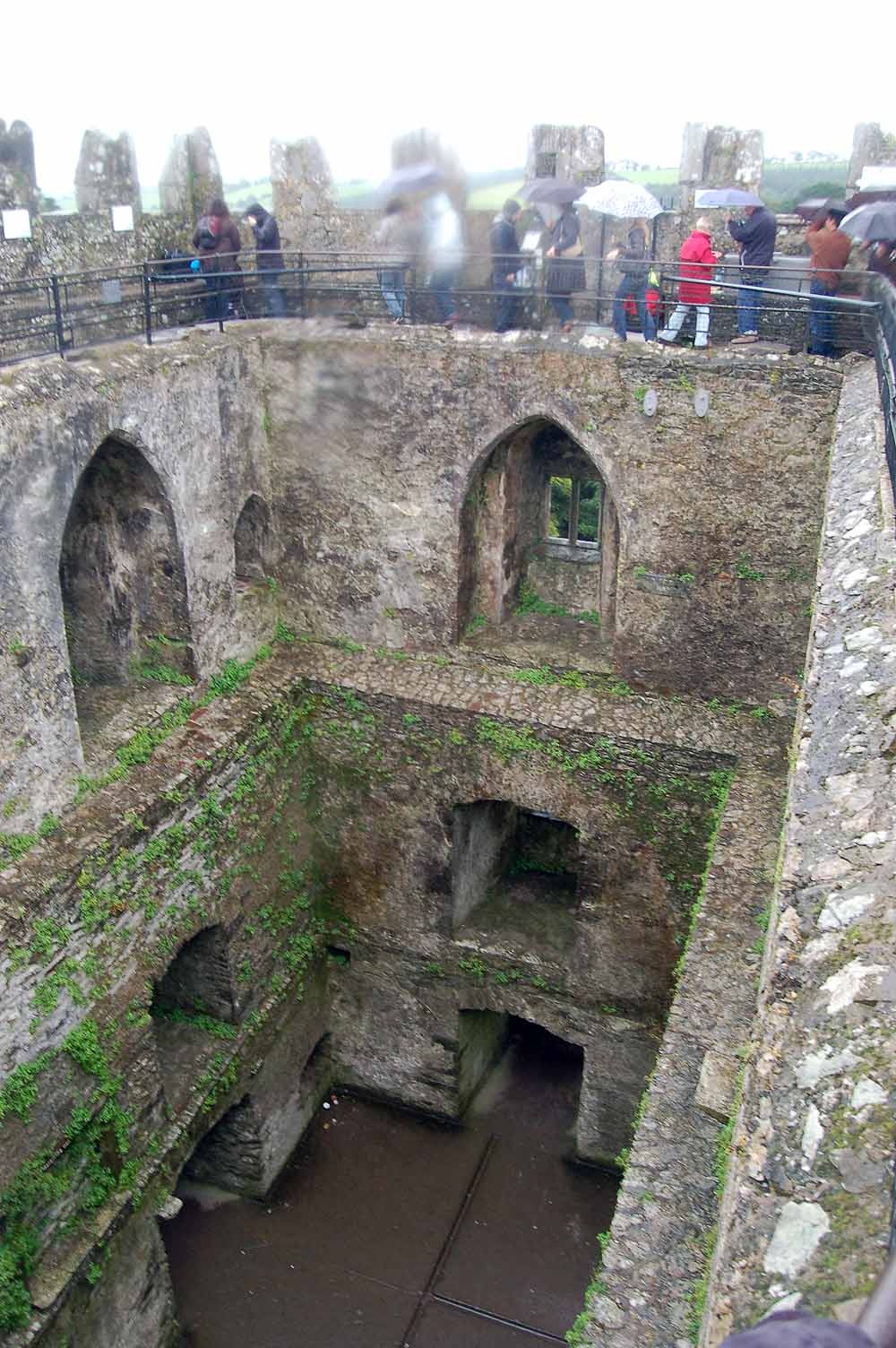 Замок Бларни (Blarney Castle) и камень красноречия - student2.ru