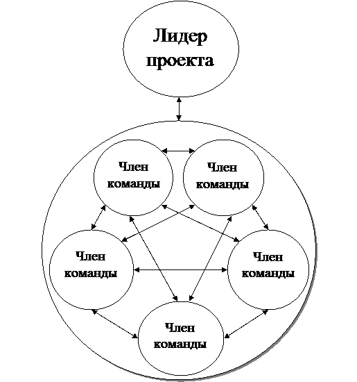 Совместное управление проектами - student2.ru