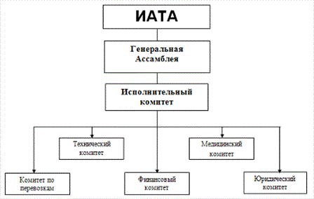 структура и органы икао и иата - student2.ru