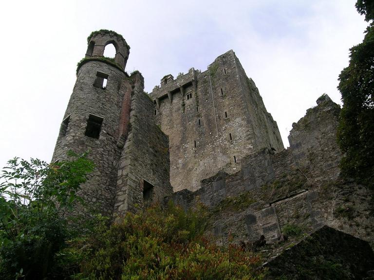 Замок Бларни (Blarney Castle) и камень красноречия - student2.ru