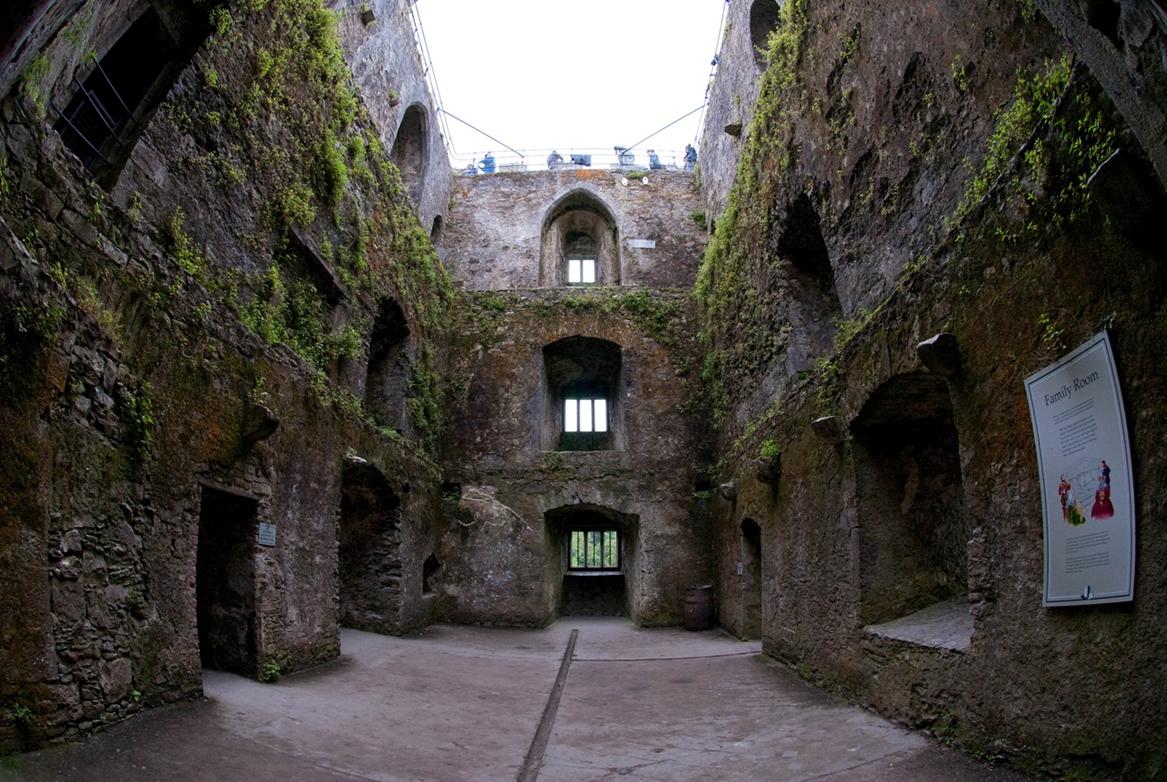 Замок Бларни (Blarney Castle) и камень красноречия - student2.ru