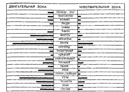 Барнаульский государственный - student2.ru