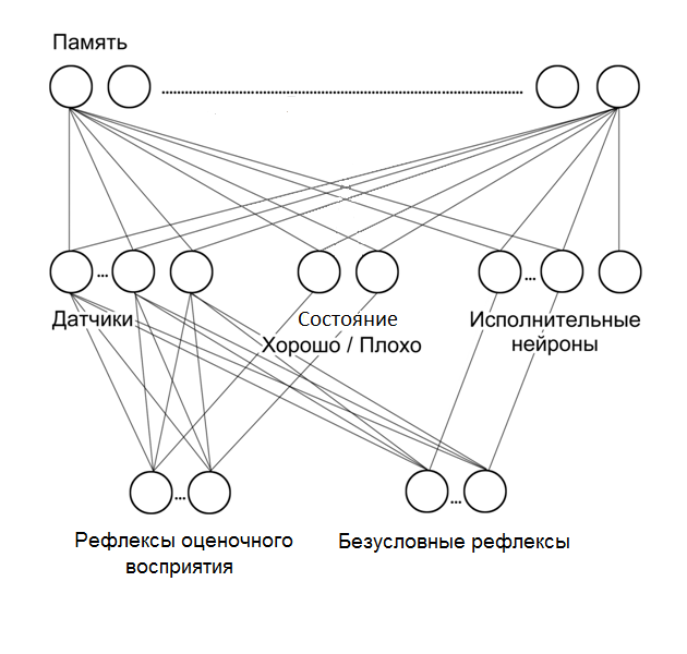 Бихевиоризм и когнитивная психология - student2.ru