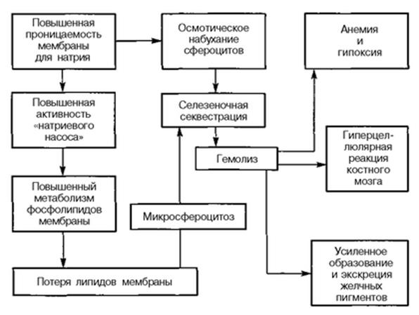 Частичный дефицит спектрина - student2.ru