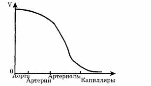 Физические основы гемодинамики - student2.ru