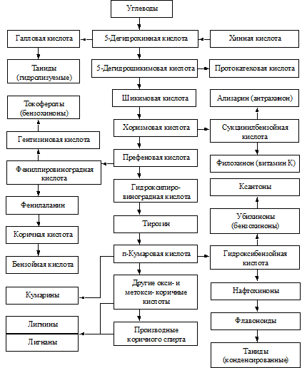 Официнальные лекарственные растения второй половины XVIII и первой половины XIX веков, не имеющие широкого применения в современной медицинской практике - student2.ru