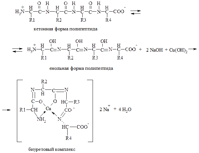 ОПЫТ 1. Биуретовая реакция Пиотровского - student2.ru