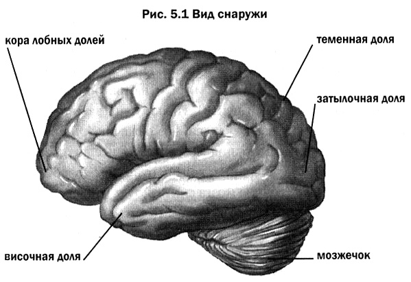 Примеры использования : Из певых уст , из источника - student2.ru