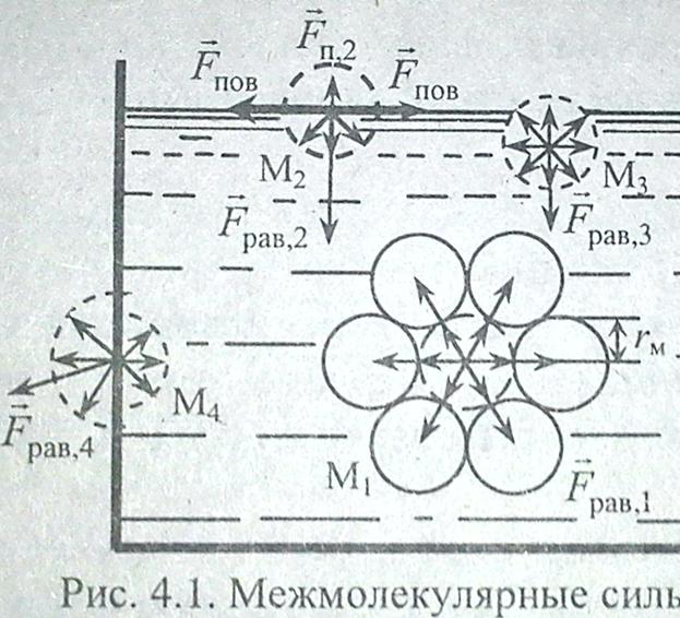 Сердце как механическая система - student2.ru