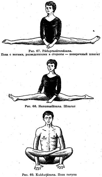 упражнения для мышц плечевого пояса - student2.ru