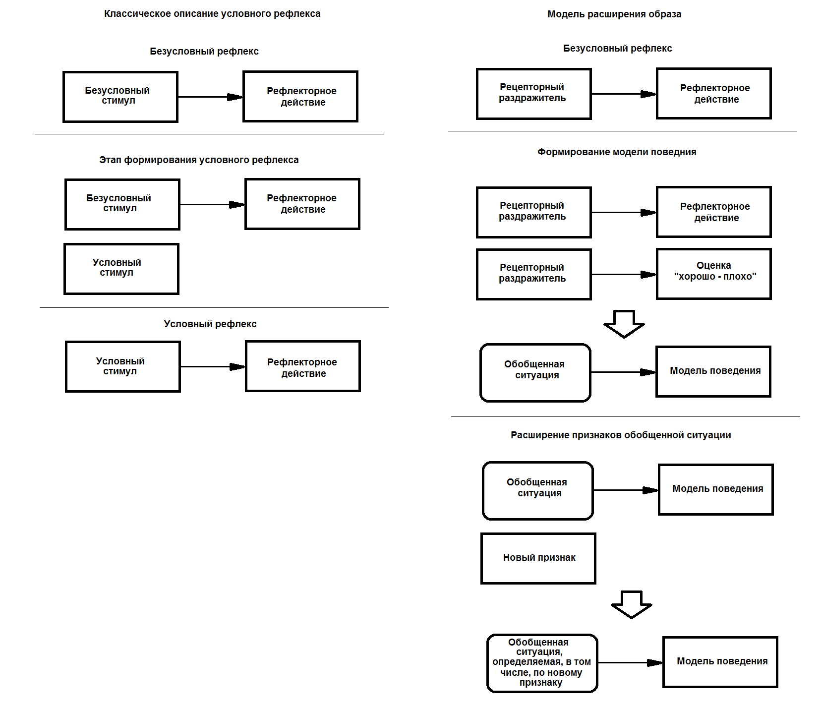 Условные рефлексы и модель расширения образа - student2.ru