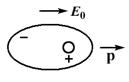 Вектор поляризации. Поляризованность. - student2.ru