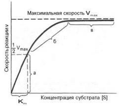 Вывод уравнения Михаэлиса-Ментен. - student2.ru