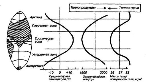 адаптация к действию низкой температуры - student2.ru