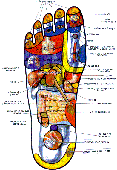Акупрессура лечит посредством нажатия пальцами - student2.ru