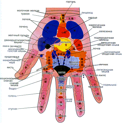 Акупрессура лечит посредством нажатия пальцами - student2.ru