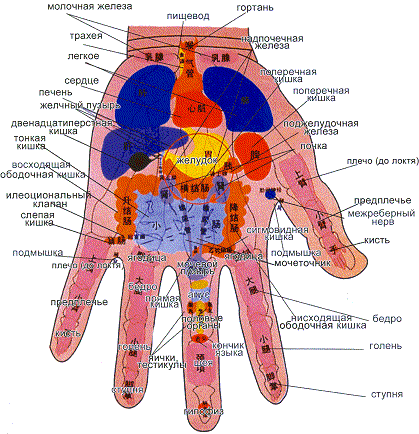Акупрессура лечит посредством нажатия пальцами - student2.ru
